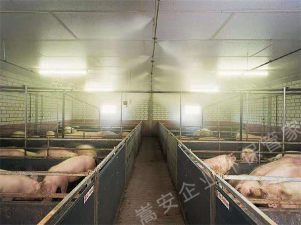 �B(y��ng)ֳ����γ������Խ������󻼲��L(f��ng)�U���������Ч�����e