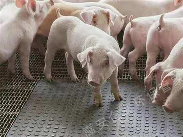 ̫ƽ�B(y��ng)ֳ������Ѭ������(zh��)�����T֪ͨ��������